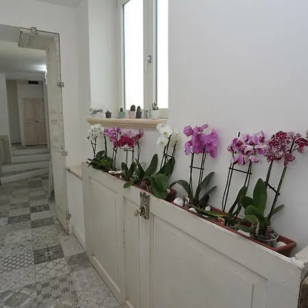 Angels'home Raffaello Apartment Pizzo (Calabria)